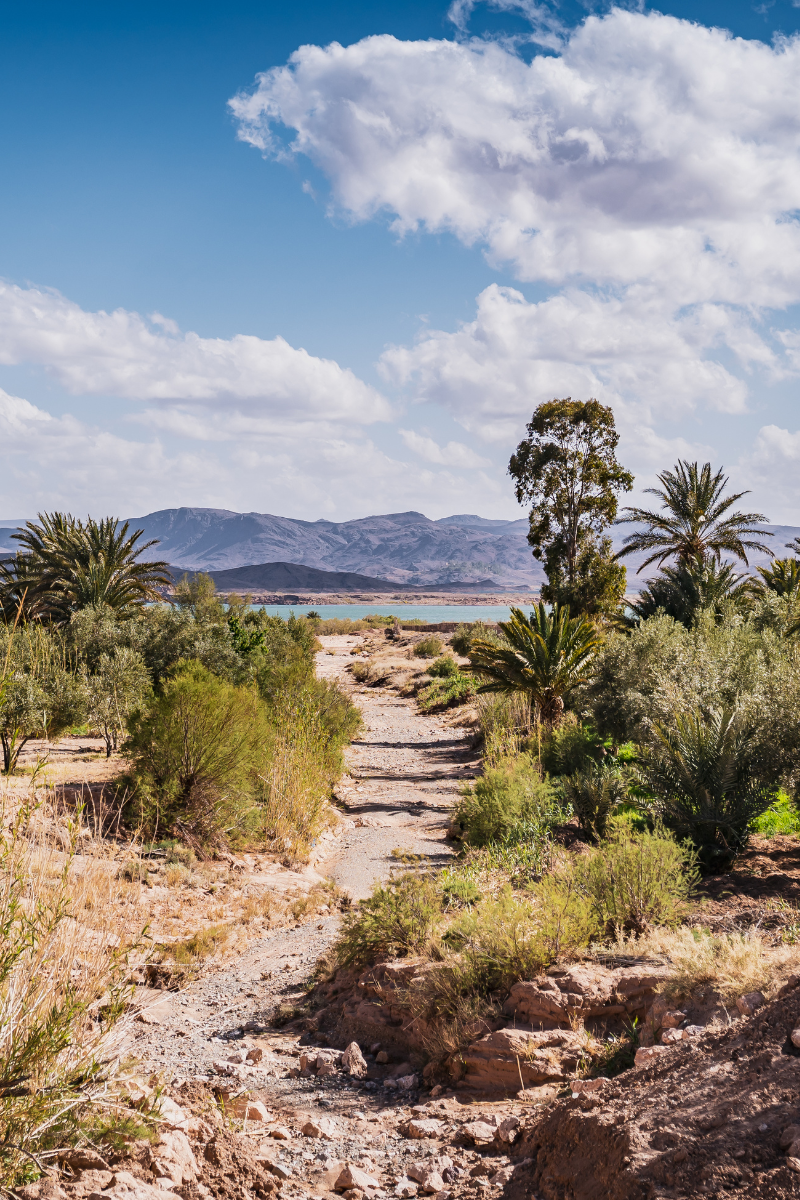 Morocco Off-Road Experience